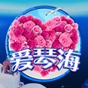 Www.yxvip005.com